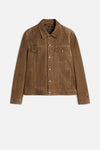 Chestnut