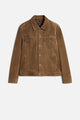 Chestnut