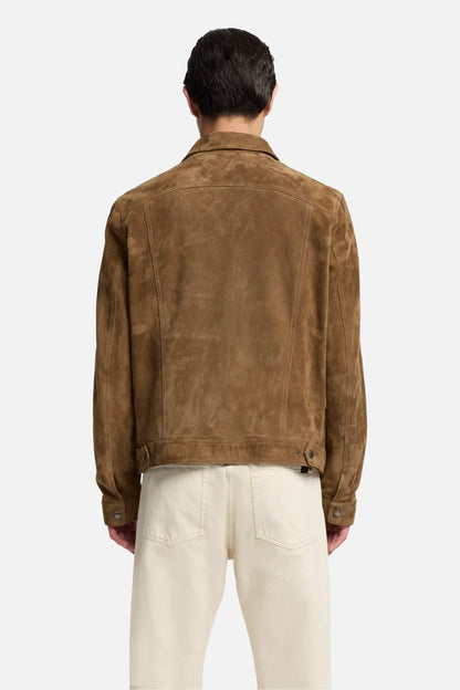 Chestnut