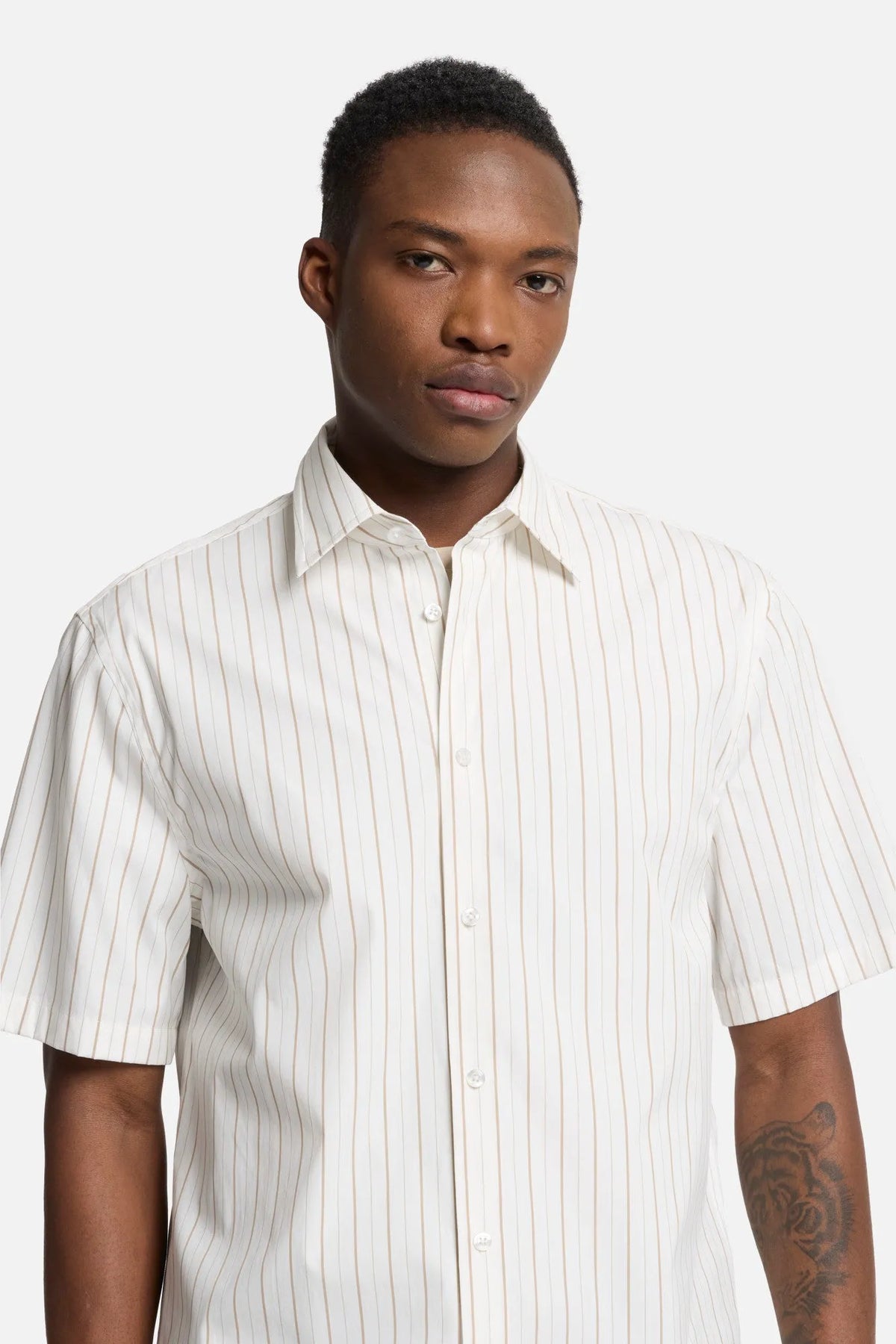Beige Stripe