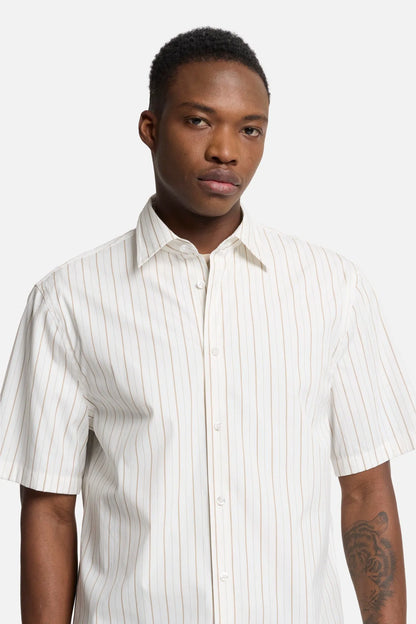 Beige Stripe