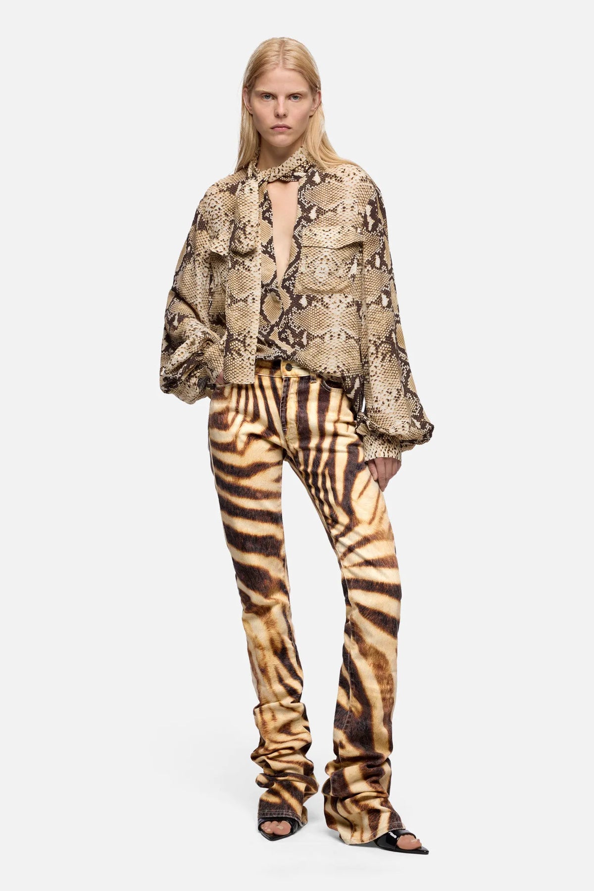 Zebra