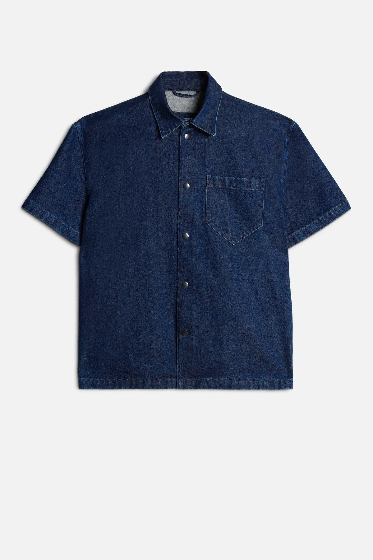 Carpenter Blue