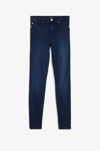 Rich Indigo