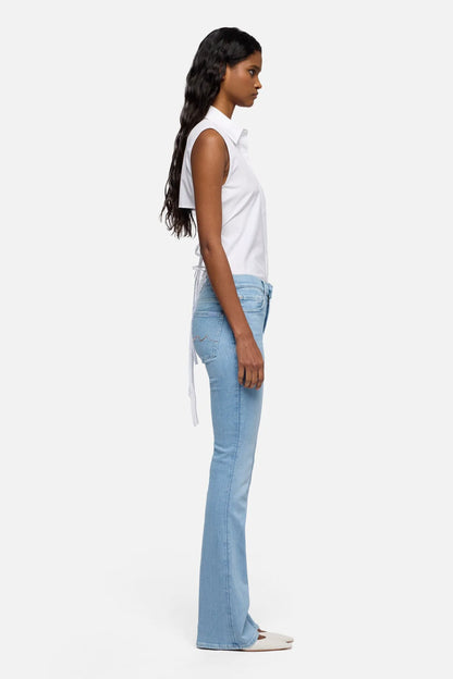 Indigo Bloom